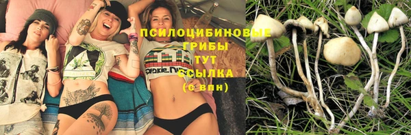 меф Карпинск