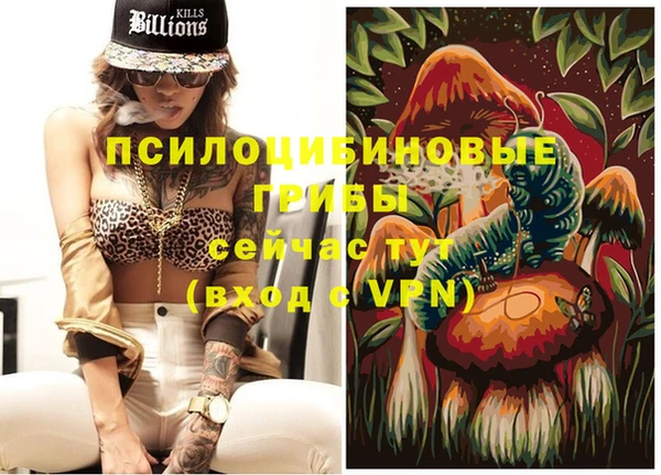 бутират Каменка