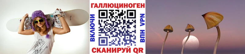 Псилоцибиновые грибы Magic Shrooms  Купить где  Геленджик 